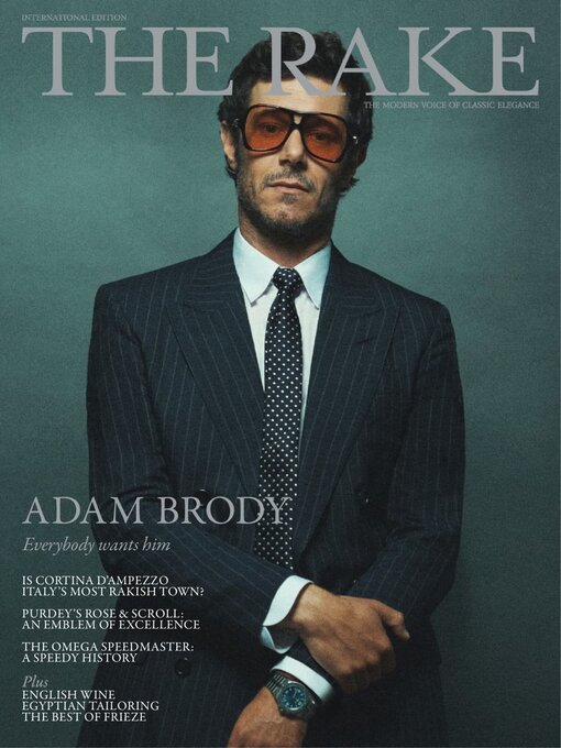 Cover image for The Rake